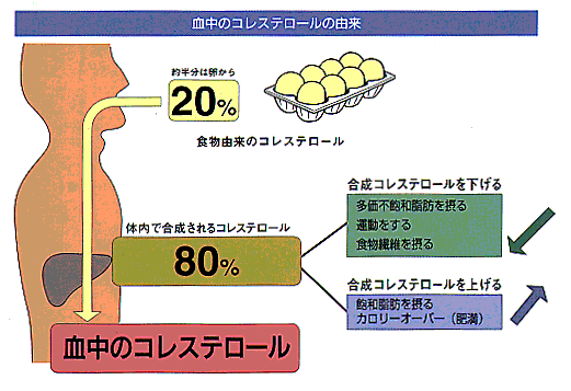 砂糖の摂取量をコントロールする