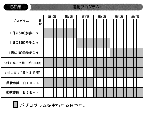 B段階運動プログラムの表