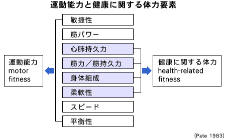 �^���\�͂ƌ��N�Ɋ֘A����̗͗v�f