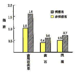 ���������O���t