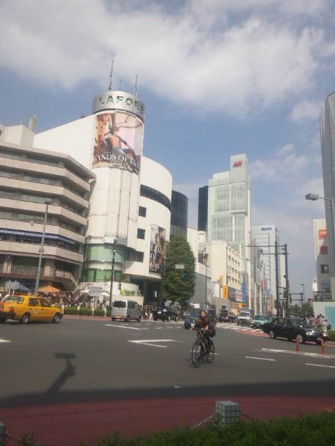 写真９