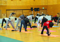 ヨガ、太極拳、バランスボール、セラバンド、ストレッチング、トランポビクス