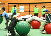 ヨガ、太極拳、バランスボール、セラバンド、ストレッチング、トランポビクス