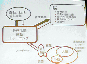 運動が脳を育成する