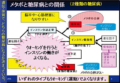 メタボと糖尿病の関係 (2種類の糖尿病)