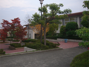 総合型地域倶楽部やわらぎトラスト 写真01